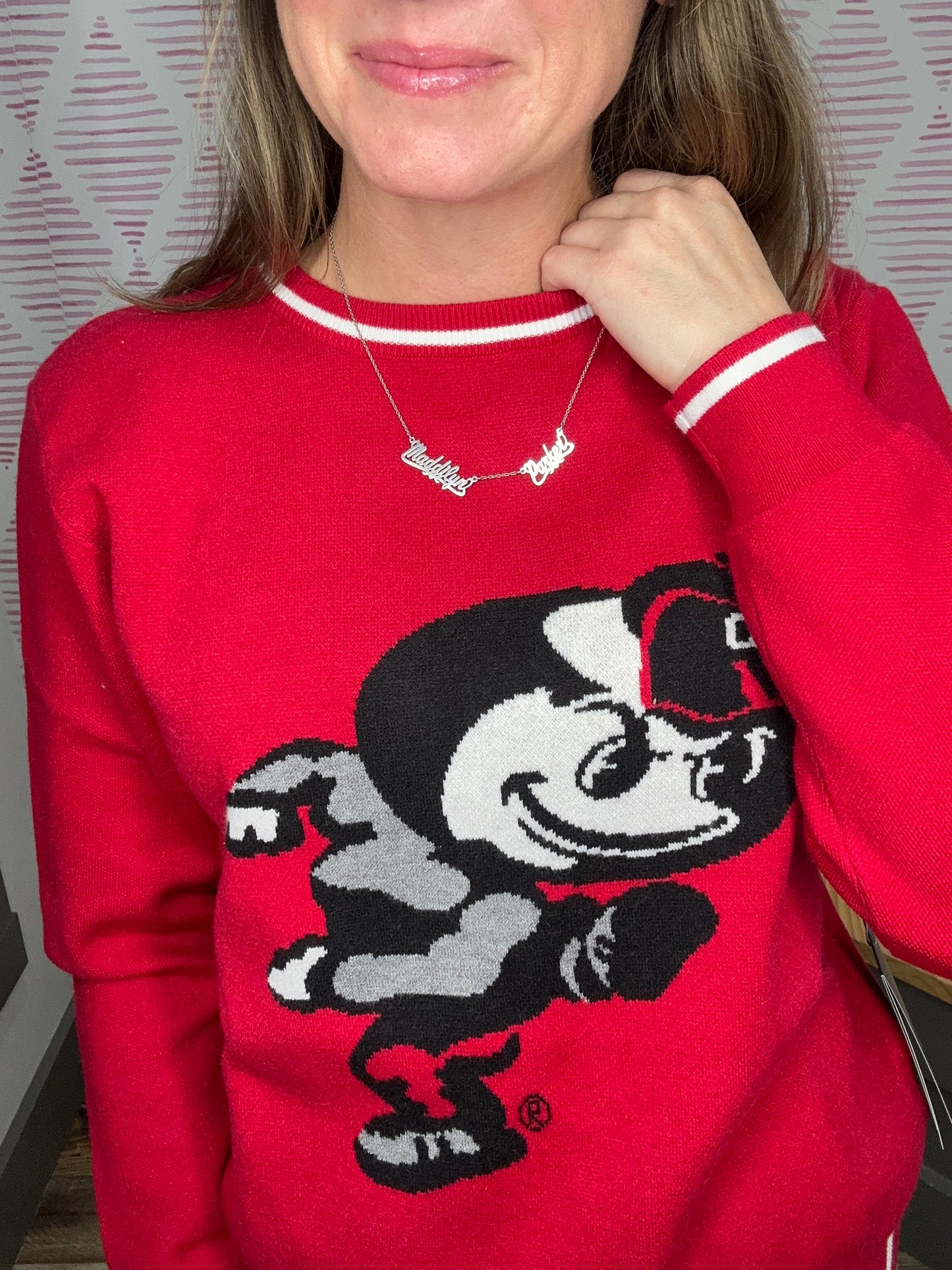 Ohio State Brutus Sweater