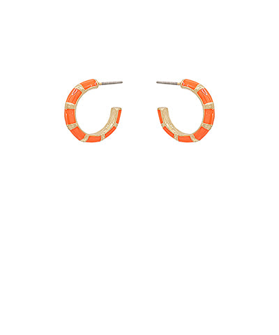 1.20.24 EARRINGS