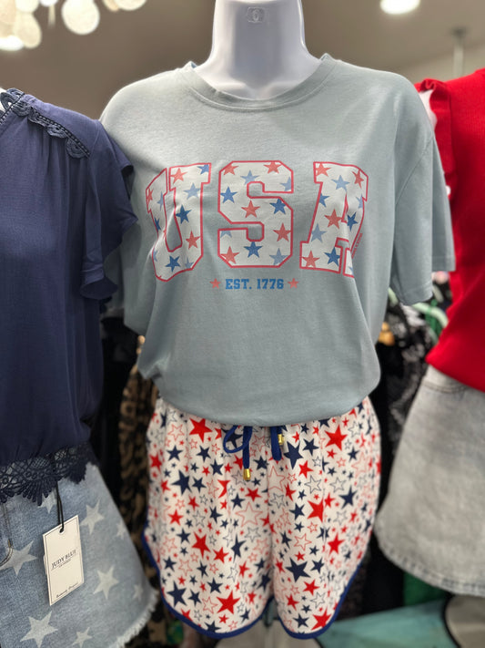 USA Blue Graphic