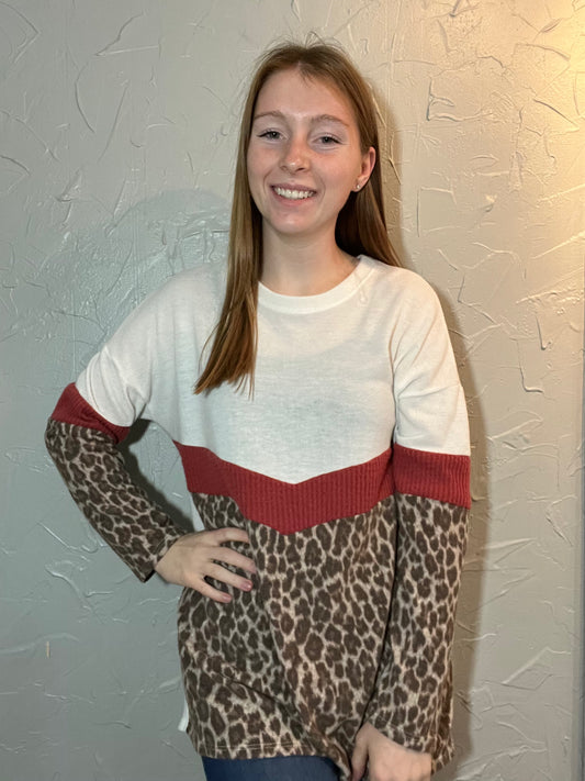 Animal Colorblock Top